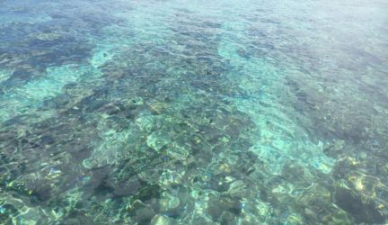 Crystal clear waters Bunaken