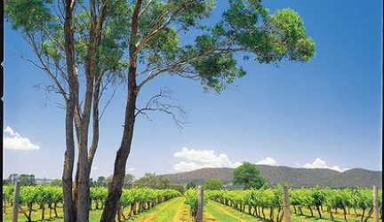 The Mudgee Region’s ‘Vineyards With A Twist’