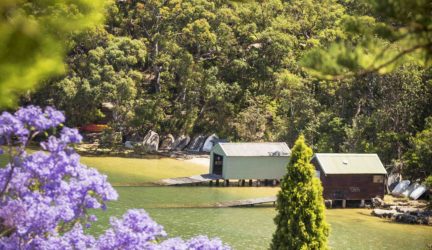 Destination NSW – Sydney Jacaranda Shoot 2013