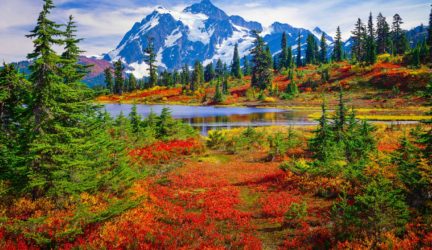 Mt. Shuksan and Picture Lake in brilliant autumn colors